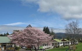 Turangi Bridge Motel